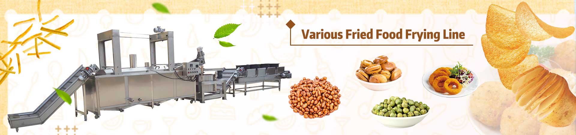 Various Fried Food Frying Line