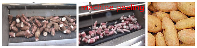 machine peeling sweet potato